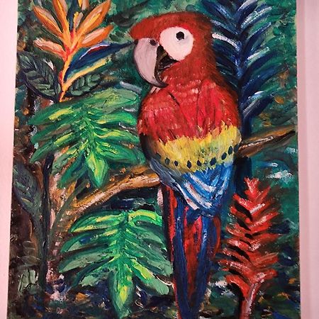 Poetry Garden Bocas Town Colon Island Villa Exterior foto