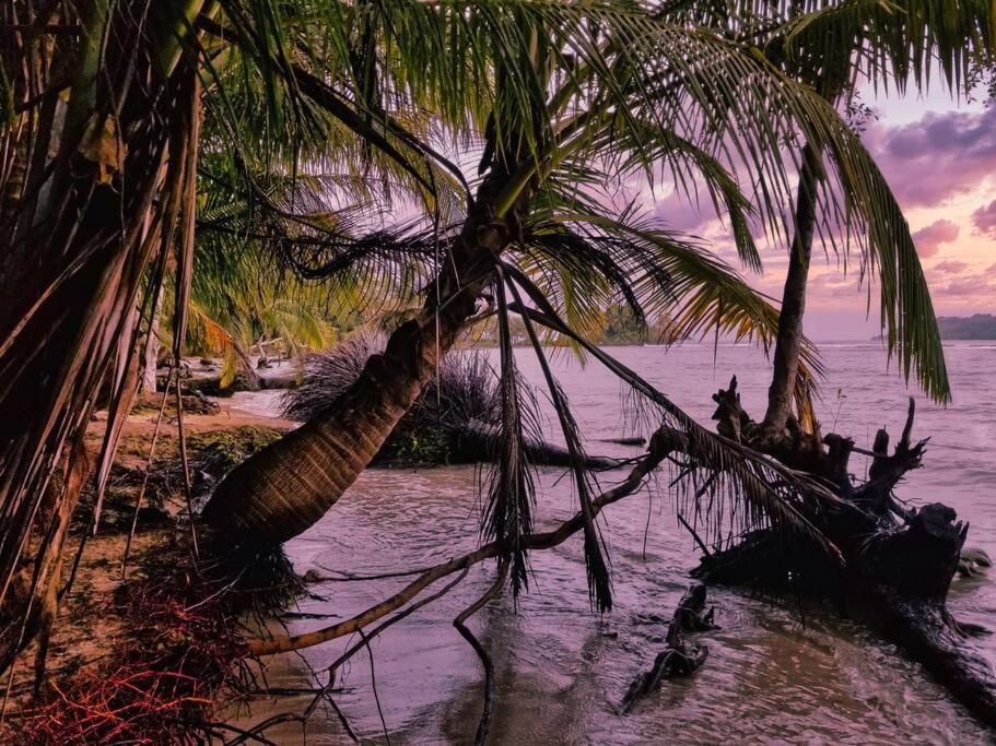 Poetry Garden Bocas Town Colon Island Villa Exterior foto